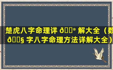 楚虎八字命理详 💮 解大全（数 🐧 字八字命理方法详解大全）